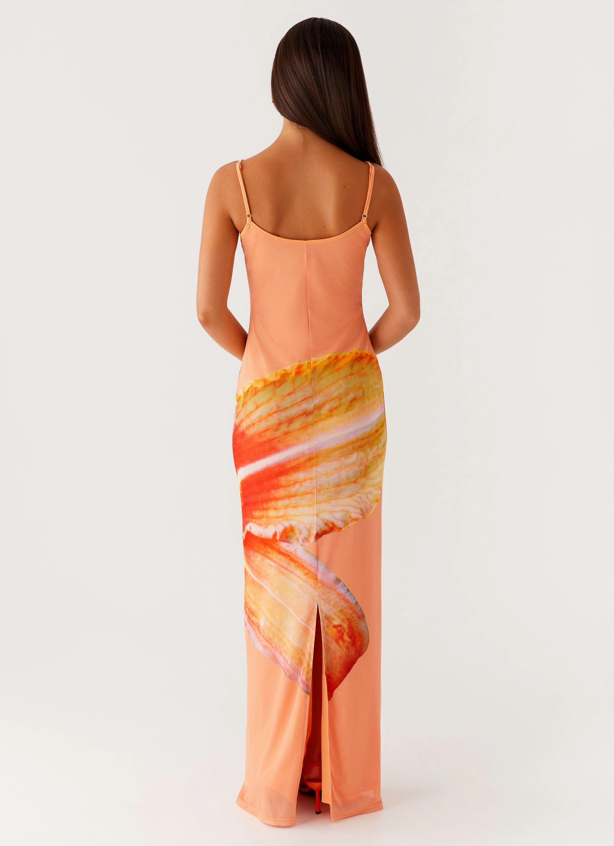 Art Spirit Bad News Mesh Maxi Dress - Orange Floral