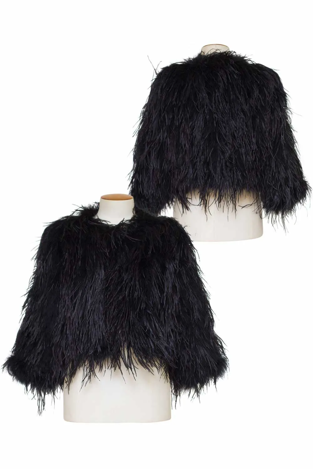 Compact Fit Look Birds of a Feather - BOAF25 Luxe Jacket