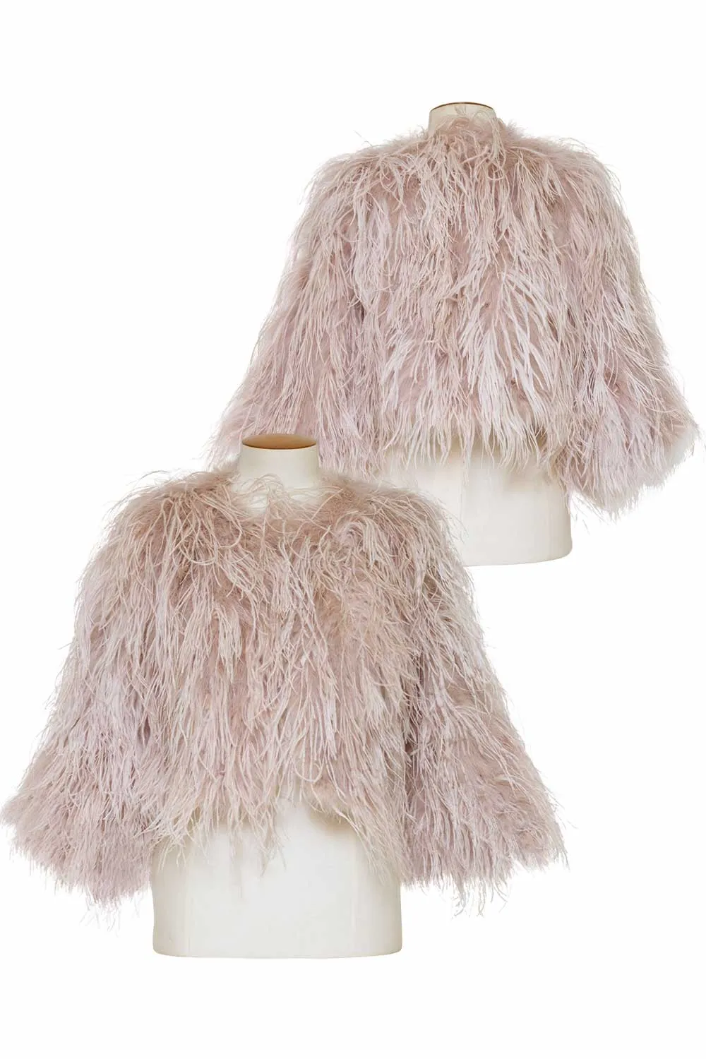 Glossy Finish Birds of a Feather - BOAF26 Dita Jacket