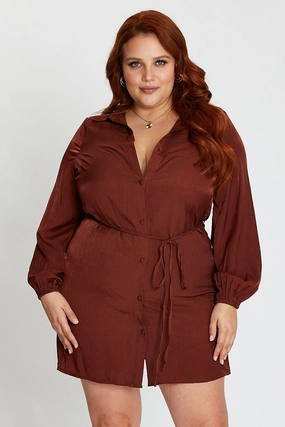 Brown Long Sleeve Tie Waist Shirtdress Pretty Glow