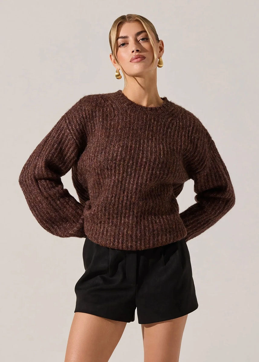 Plush Interior Archer Sweater - Brown Multi